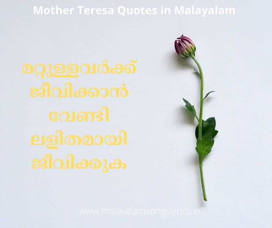 mother teresa quotes malayalam